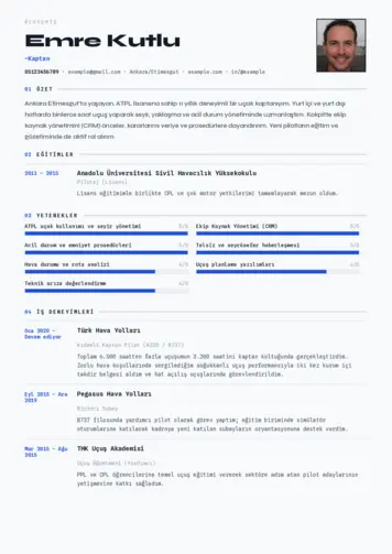 Kaptan Cv Örnekleri cv indir